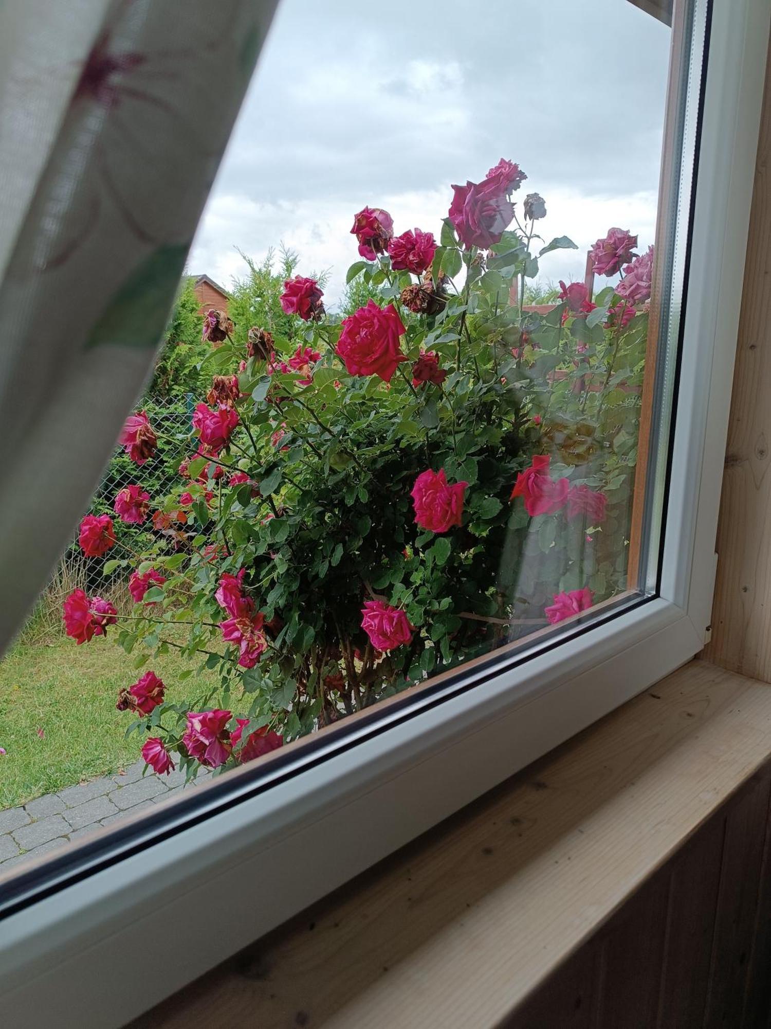Sielanka Villa Rusinowo  Kültér fotó